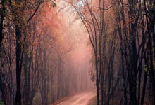 阿贾克斯力克马德里竞技晋级四强