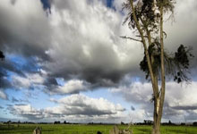 尤文图斯惜败巴黎无缘半决赛