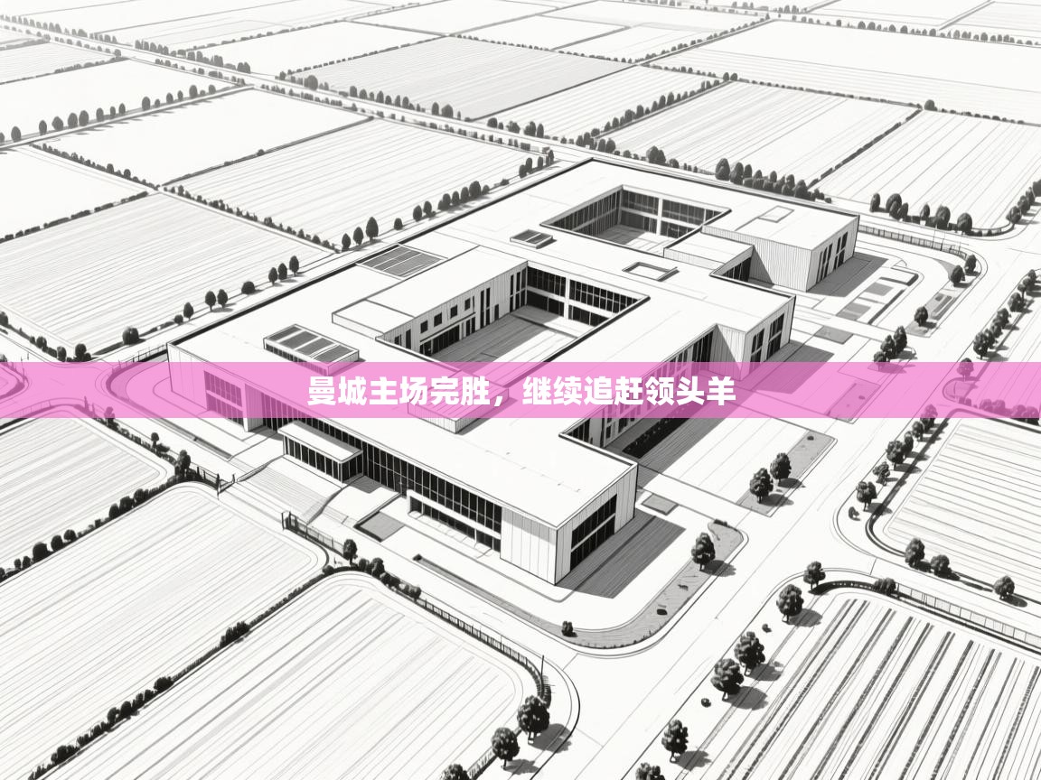 曼城主场完胜，继续追赶领头羊