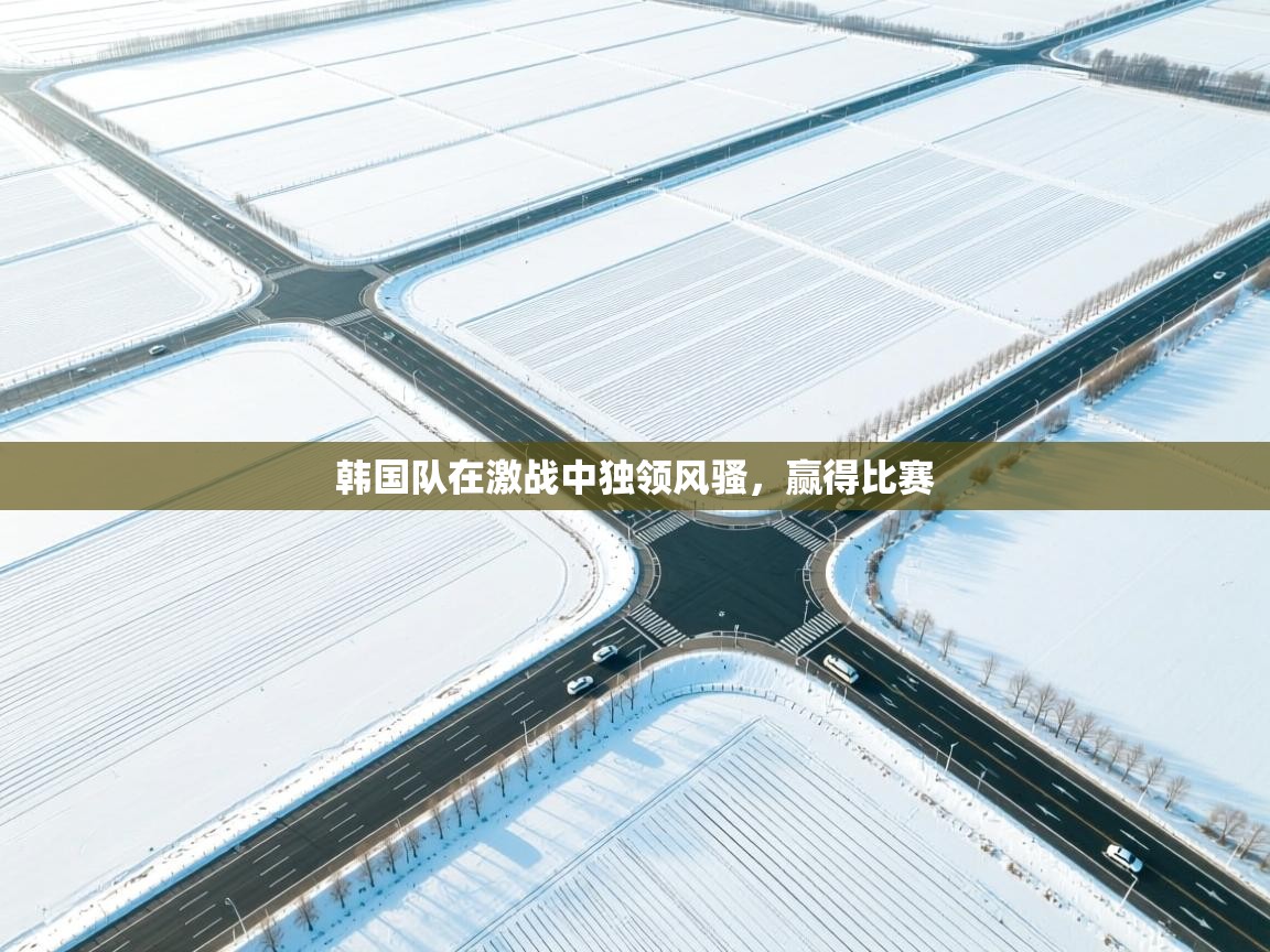 韩国队在激战中独领风骚，赢得比赛